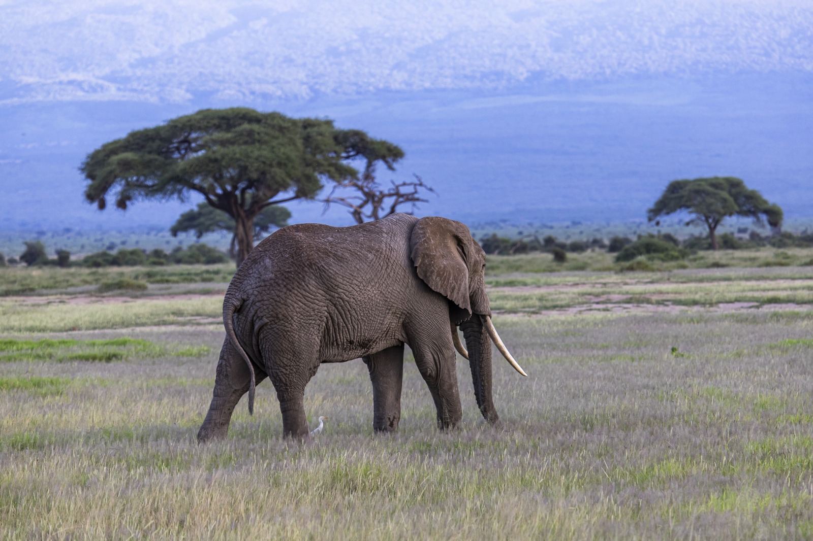 Serene Beach Retreat